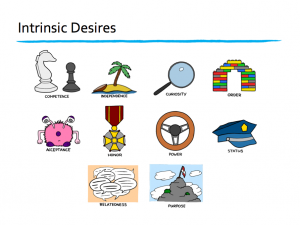 Intrinsic desires
